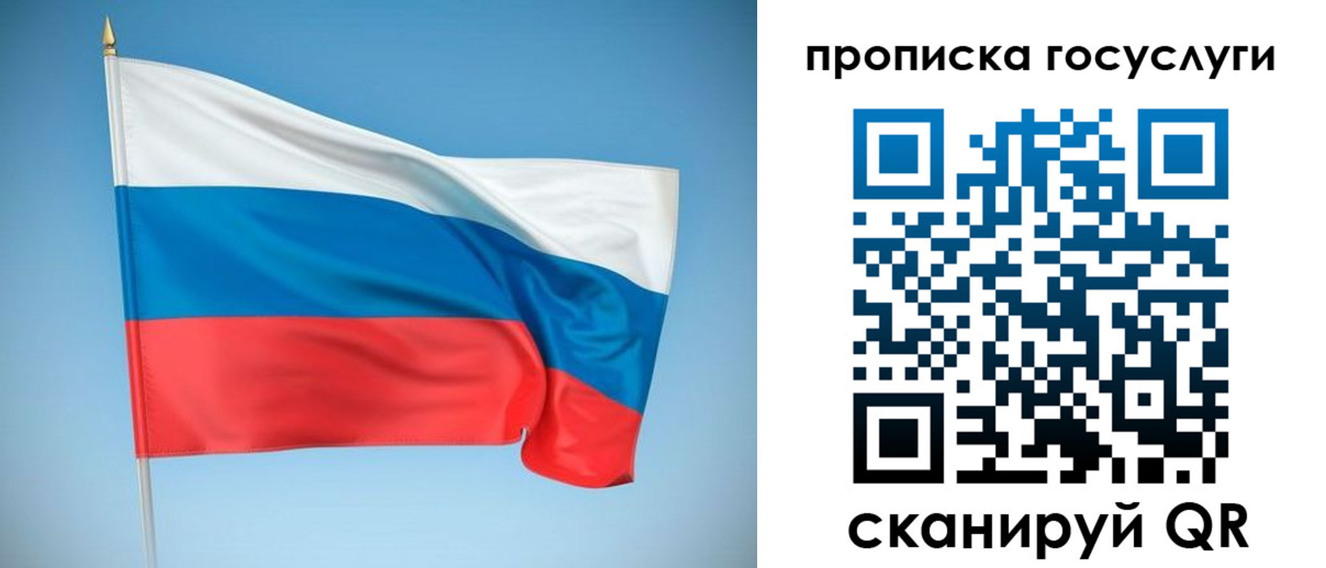 регистрация для школы в Димитровграде